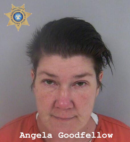 Angela Goodfellow Updated Mugshot April 2022