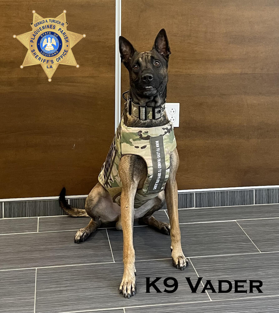 New Vest 4 Vader - August 2023